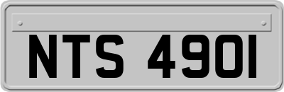NTS4901
