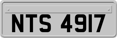 NTS4917
