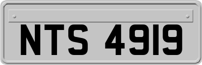 NTS4919