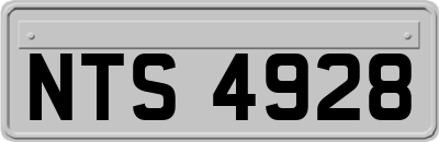 NTS4928