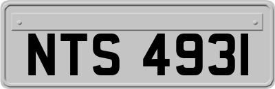 NTS4931