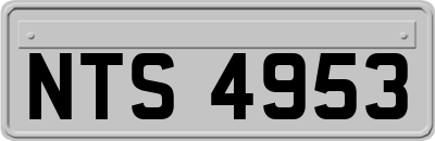 NTS4953