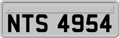 NTS4954