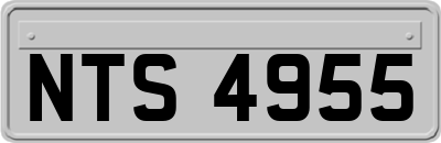 NTS4955