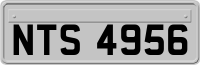 NTS4956