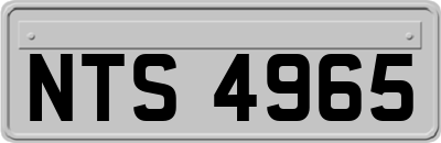 NTS4965