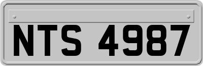 NTS4987