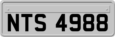 NTS4988