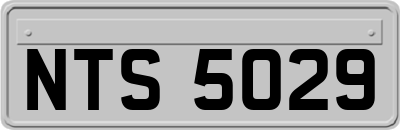 NTS5029