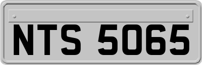 NTS5065