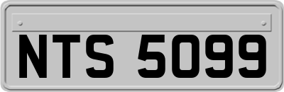 NTS5099