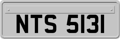 NTS5131