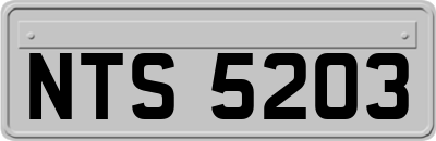 NTS5203