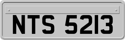 NTS5213