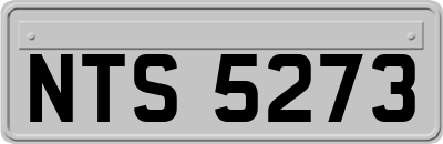 NTS5273