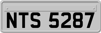 NTS5287