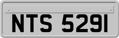 NTS5291