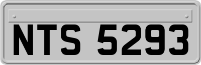 NTS5293