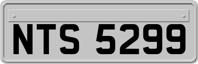 NTS5299