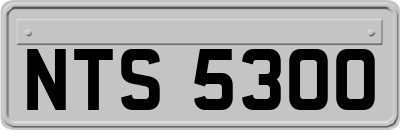 NTS5300