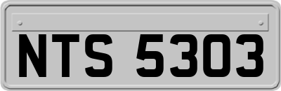 NTS5303