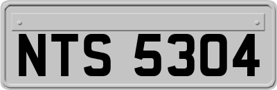 NTS5304