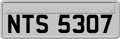 NTS5307