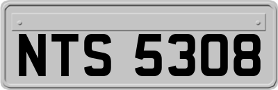 NTS5308
