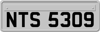 NTS5309