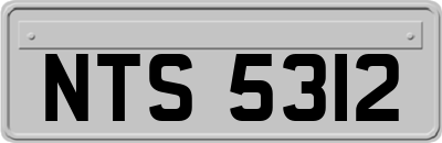NTS5312