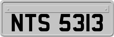 NTS5313