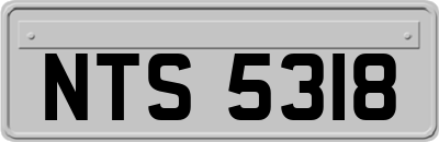 NTS5318