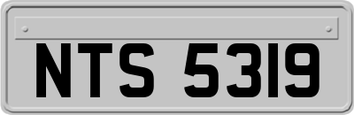 NTS5319