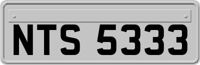 NTS5333