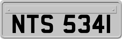 NTS5341