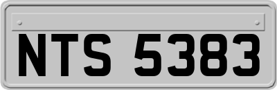 NTS5383