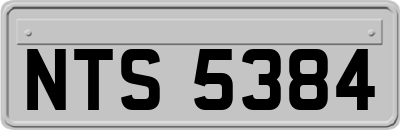 NTS5384
