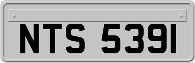 NTS5391