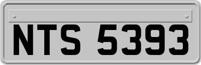 NTS5393