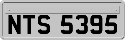 NTS5395