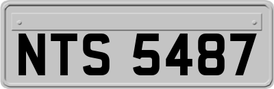 NTS5487
