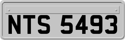 NTS5493