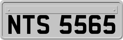 NTS5565