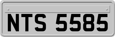 NTS5585
