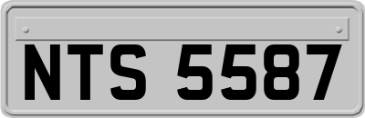 NTS5587