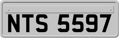 NTS5597