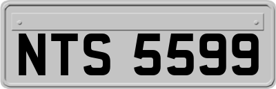 NTS5599