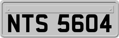 NTS5604