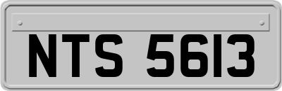 NTS5613