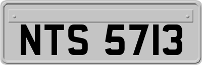 NTS5713